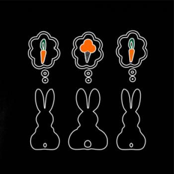 Králici premýšľajú, čo by zožrali