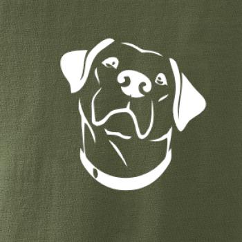 Labrador obrys Labrador obrys