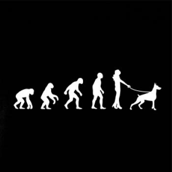 Evolúcia pes doberman (muž-žena)