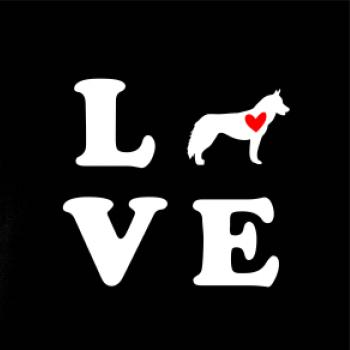 Husky love