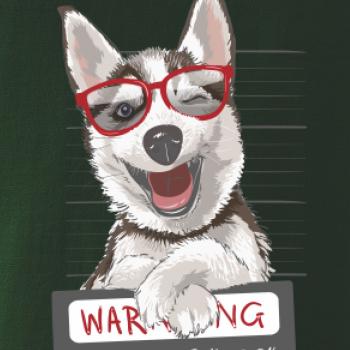 Husky - beware of dog