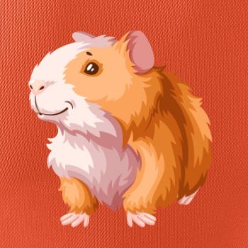 Morča - kreslené, bielo oranžové Morča - kreslené, bielo oranžové