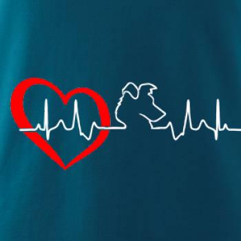 Borderská kólia EKG