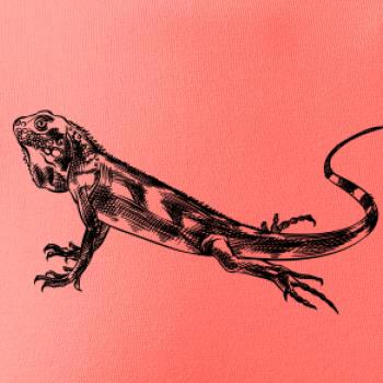 Ceruzkou kreslený Leguán