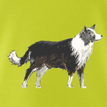 Border kólia kreslená