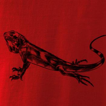 Ceruzkou kreslený Leguán