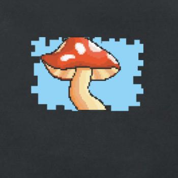 Gamer - stará hra - huba Gamer - stará hra - huba