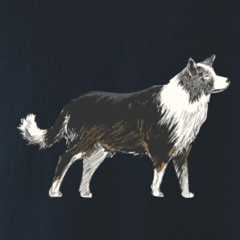 Border kólia kreslená Border kólia kreslená