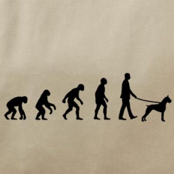 Evolúcia pes boxer (muž-žena)