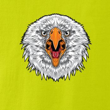  Hlava rozhnevaného orla