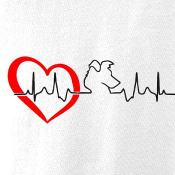 Borderská kólia EKG