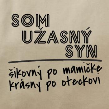 Som úžasný syn
