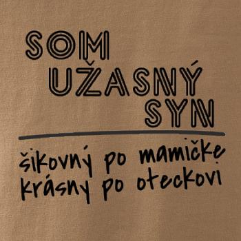 Som úžasný syn