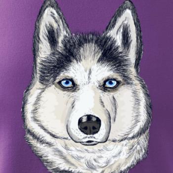 Husky hlava - kreslený