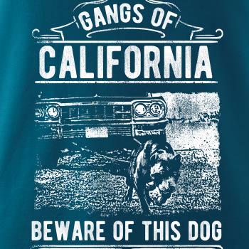 Gangs Of California