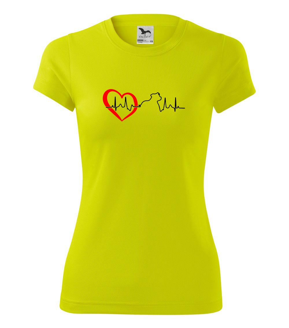 Stafordšírsky bulteriér  EKG Stafordšírsky bulteriér  EKG