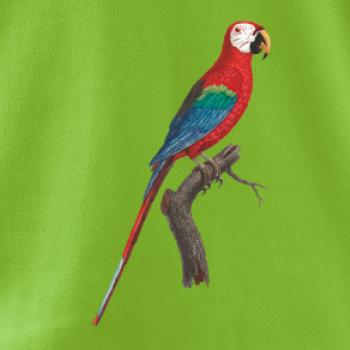 Papagáj červený na vetve