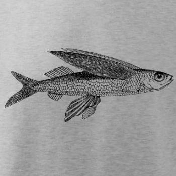 Flying fish