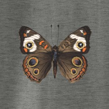 Motýľ motýle Motýľ motýle