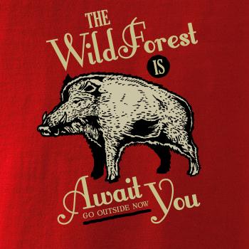  Wild forest diviak