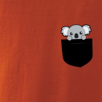 Koala vo vrecku