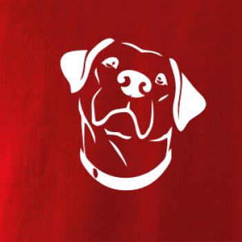 Labrador obrys