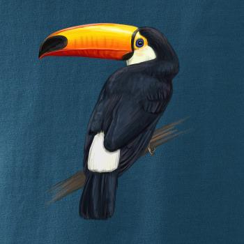 Tukan kreslený Tukan kreslený
