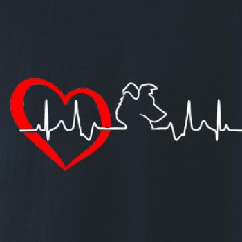 Borderská kólia EKG