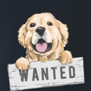 Zlatý retriever - štěně wanted