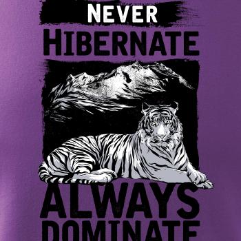 Never Hibernate