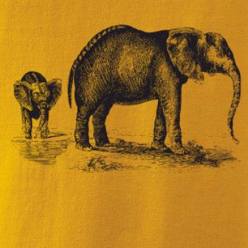 Slonica a sloníča kreslené