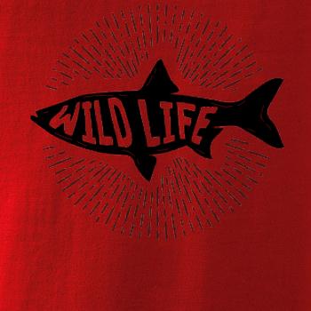 Wild life ryba