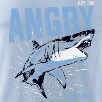 Shark angry Shark angry