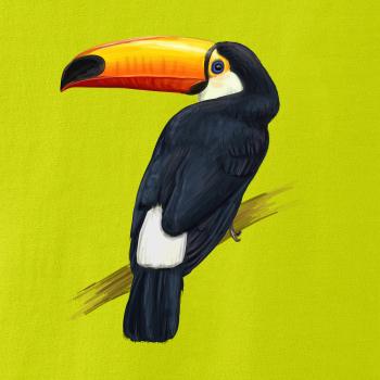 Tukan kreslený Tukan kreslený