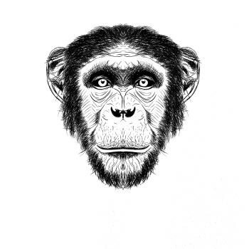 Opica kresba Opica kresba