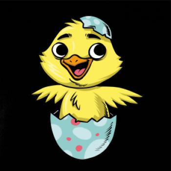 Kuriatko vo vajíčku