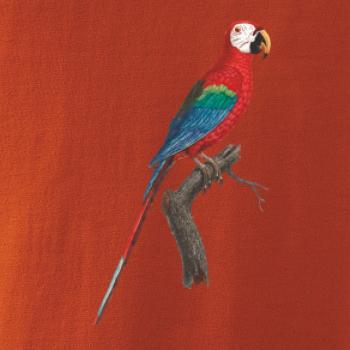 Papagáj červený na vetve