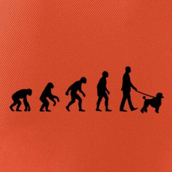 Evolúcia pes pudel (muž-žena) Evolúcia pes pudel (muž-žena)