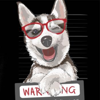 Husky - beware of dog