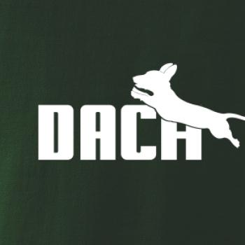 Jezevčík Dach