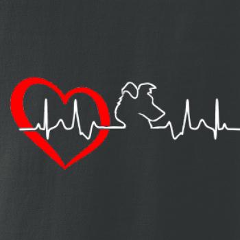 Borderská kólia EKG Borderská kólia EKG