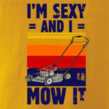I'm sexy and i mow it I'm sexy and i mow it
