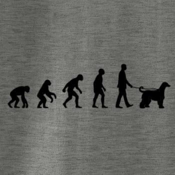 Evolúcia pes afgánsky chrt (muž-žena)