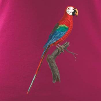 Papagáj červený na vetve