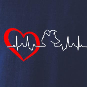 Borderská kólia EKG