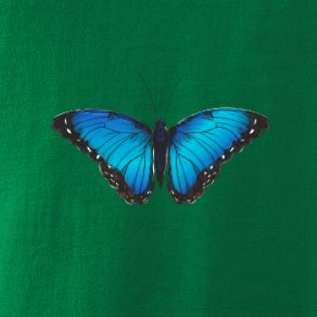 Motýľ Babôčka Morpho Peleides