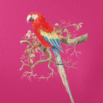 Papagáj  na listnatom strome