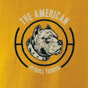 Americký pitbull terier hlava