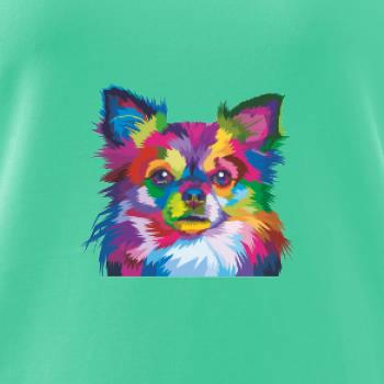 Čivava farebná Čivava farebná