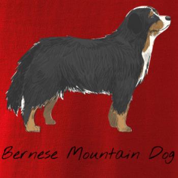 Bernese mountain dog kreslený